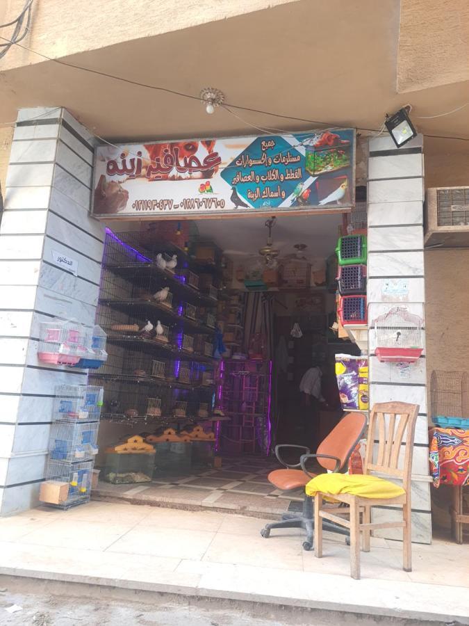 Sea View Free Wifi 3 Bedrooms 2 Full Bathrooms 4th Floor Bellevue Village Agami Families Are Preferred Available Year Days With 5 Heavy Blankets Alexandria