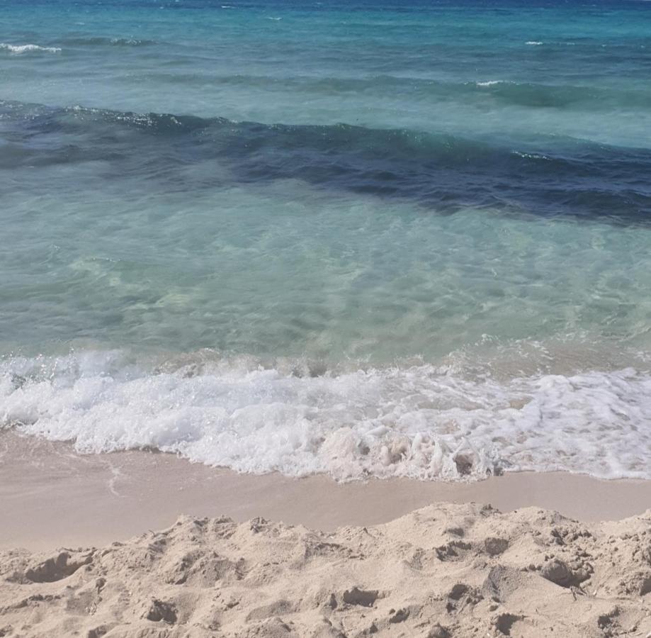 Sea View Free Wifi 3 Bedrooms 2 Full Bathrooms 4th Floor Bellevue Village Agami Families Are Preferred Available Year Days With 5 Heavy Blankets *